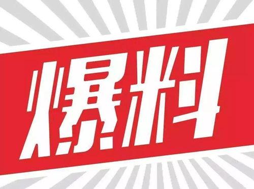 返厂最新爆料图片高清,高清图片揭示神秘细节  第3张