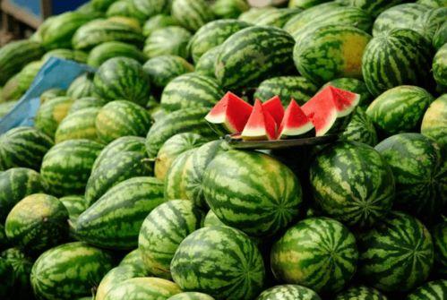 吃日本瓜的网红叫什么,揭秘“吃日本瓜”网红的爆红之路  第1张