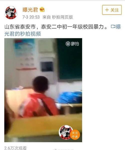 爆料山东的校园事件视频,真相与争议交织